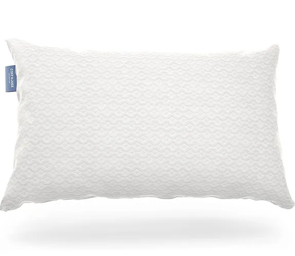 Chiropractic Zeeland MI Cozy Pillow